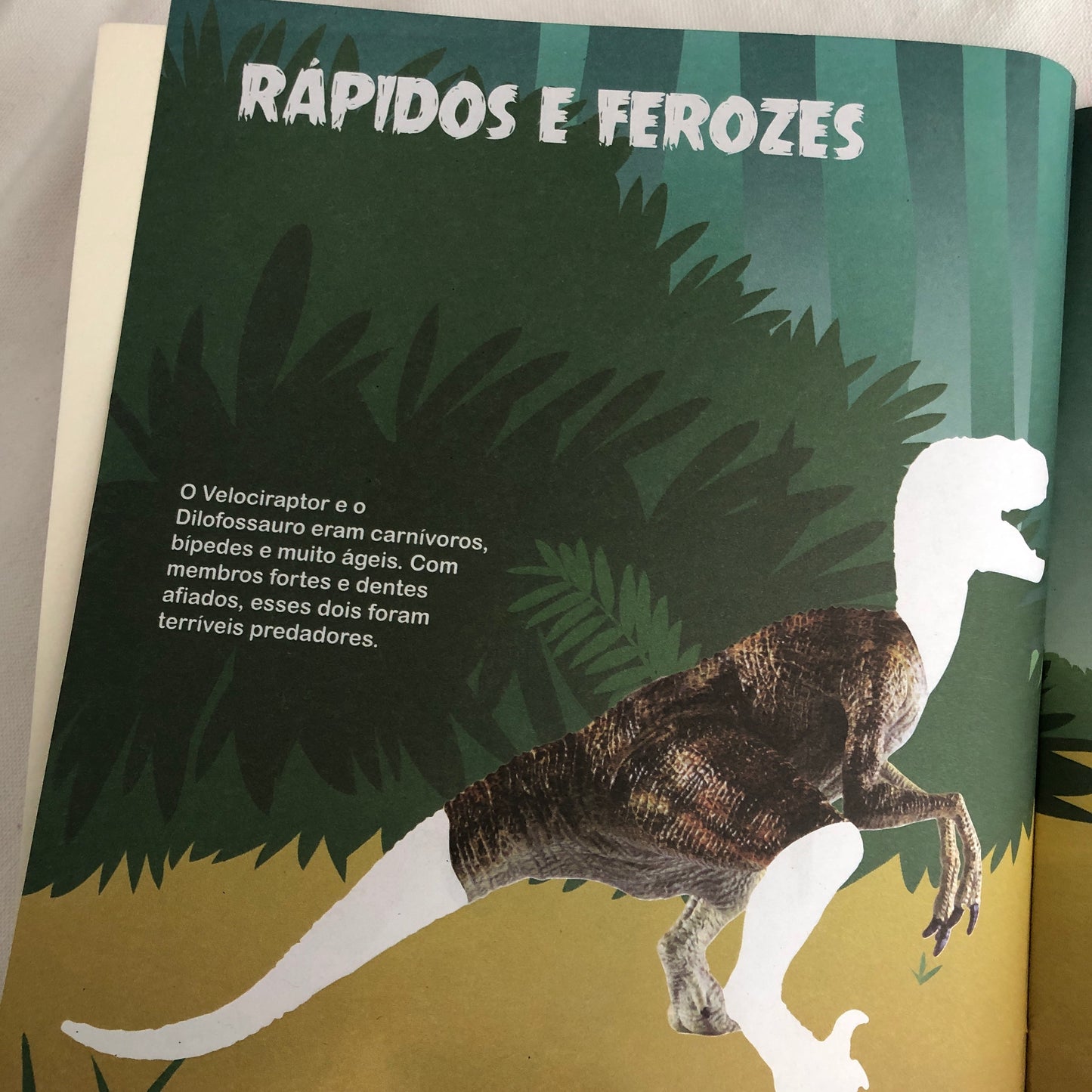 Criando meu Dinossauro - LIVRO ADESIVOS E ATIVIDADES