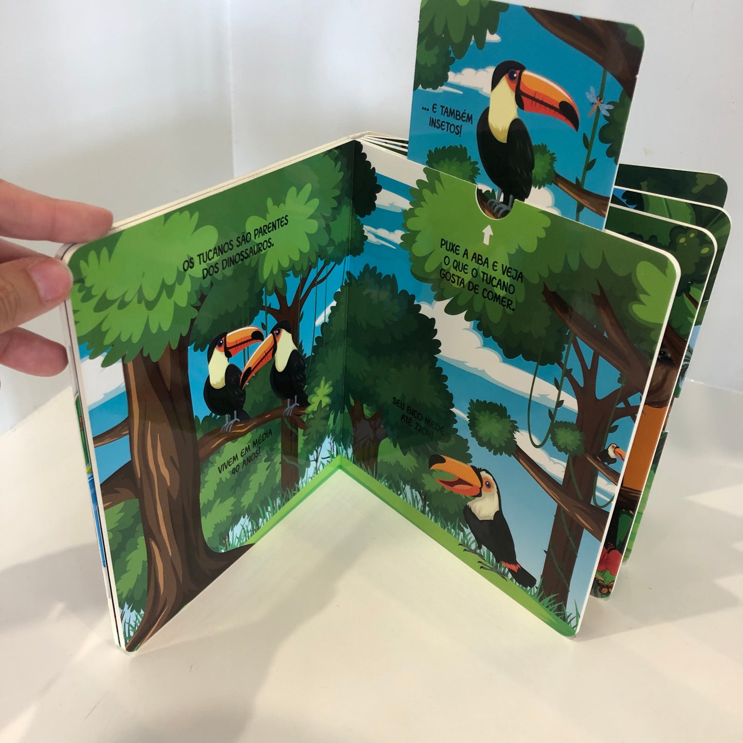 Animais da floresta tropical - Abas curiosas
