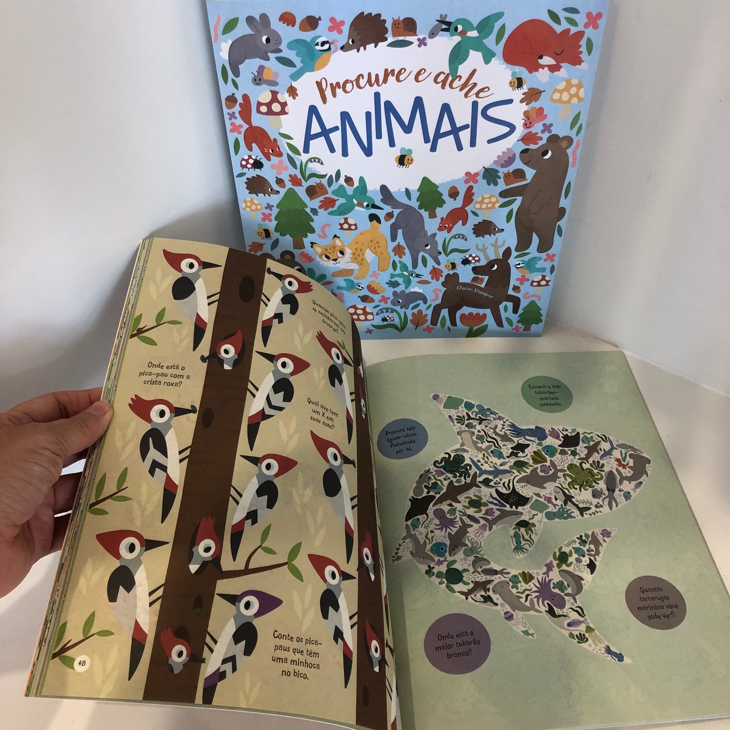 Activity book - PROCURE E ACHE - ANIMAIS
