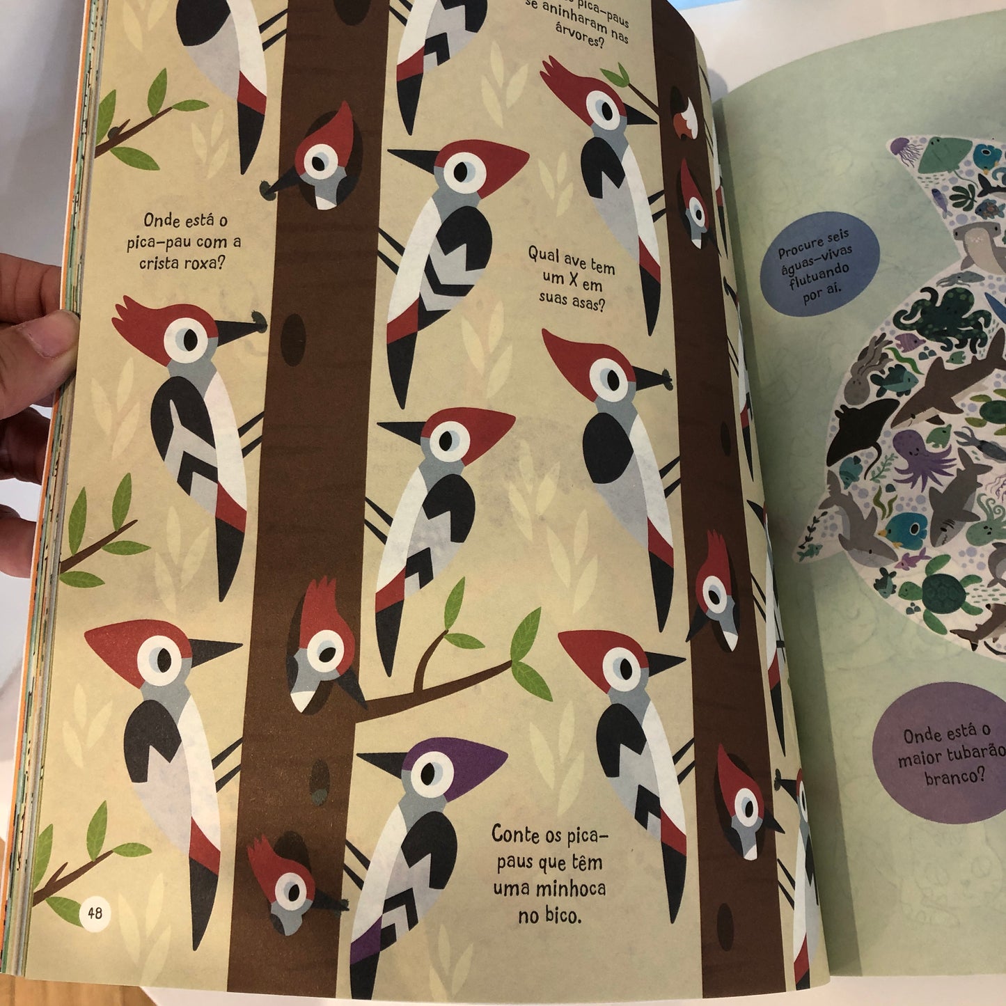 Activity book - PROCURE E ACHE - ANIMAIS