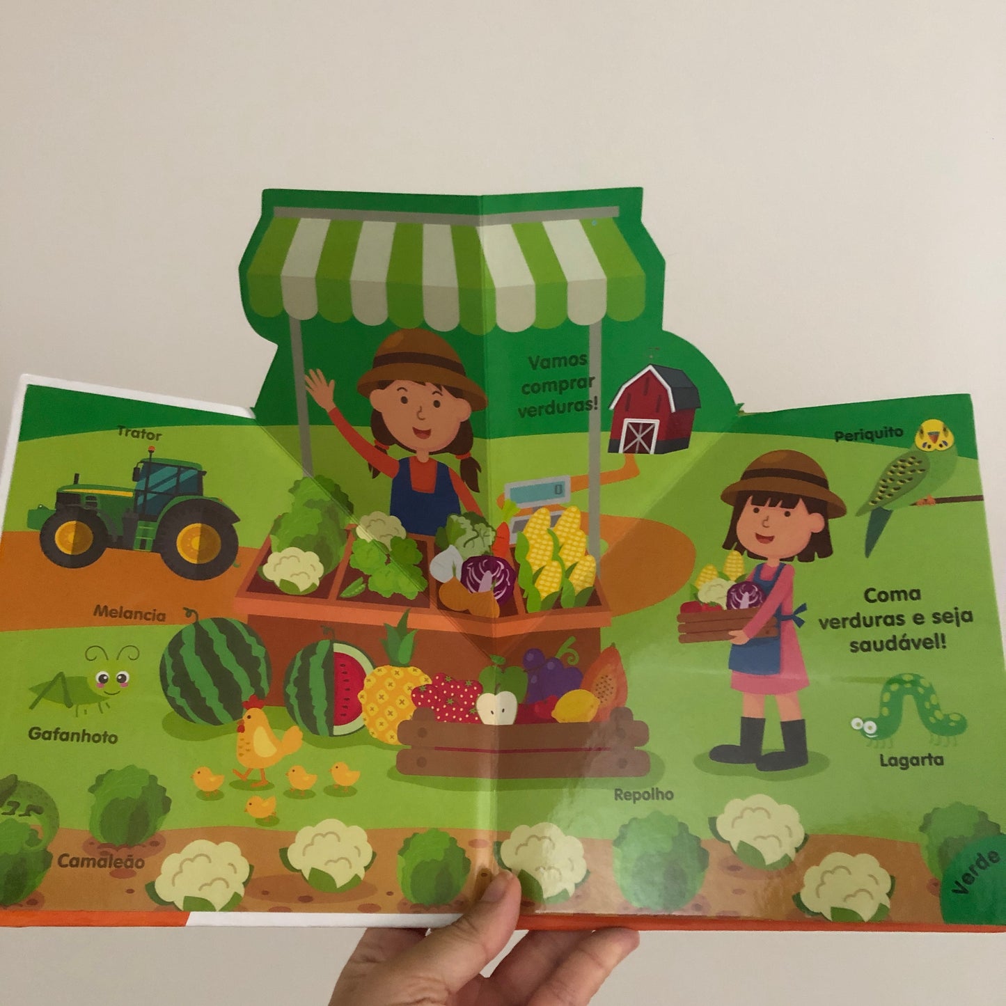 Minhas primeiras cores - livro Pop-up