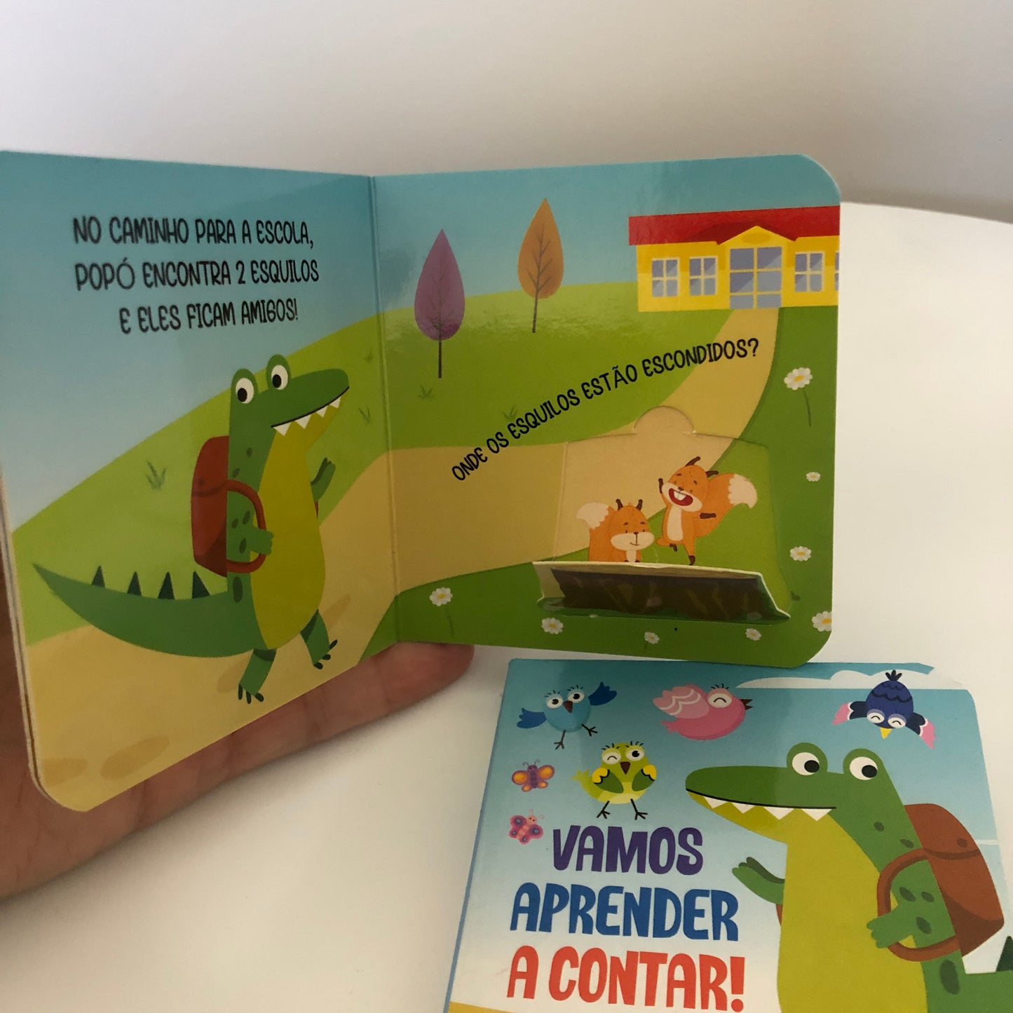Vamos aprender a contar - Abra e descubra!