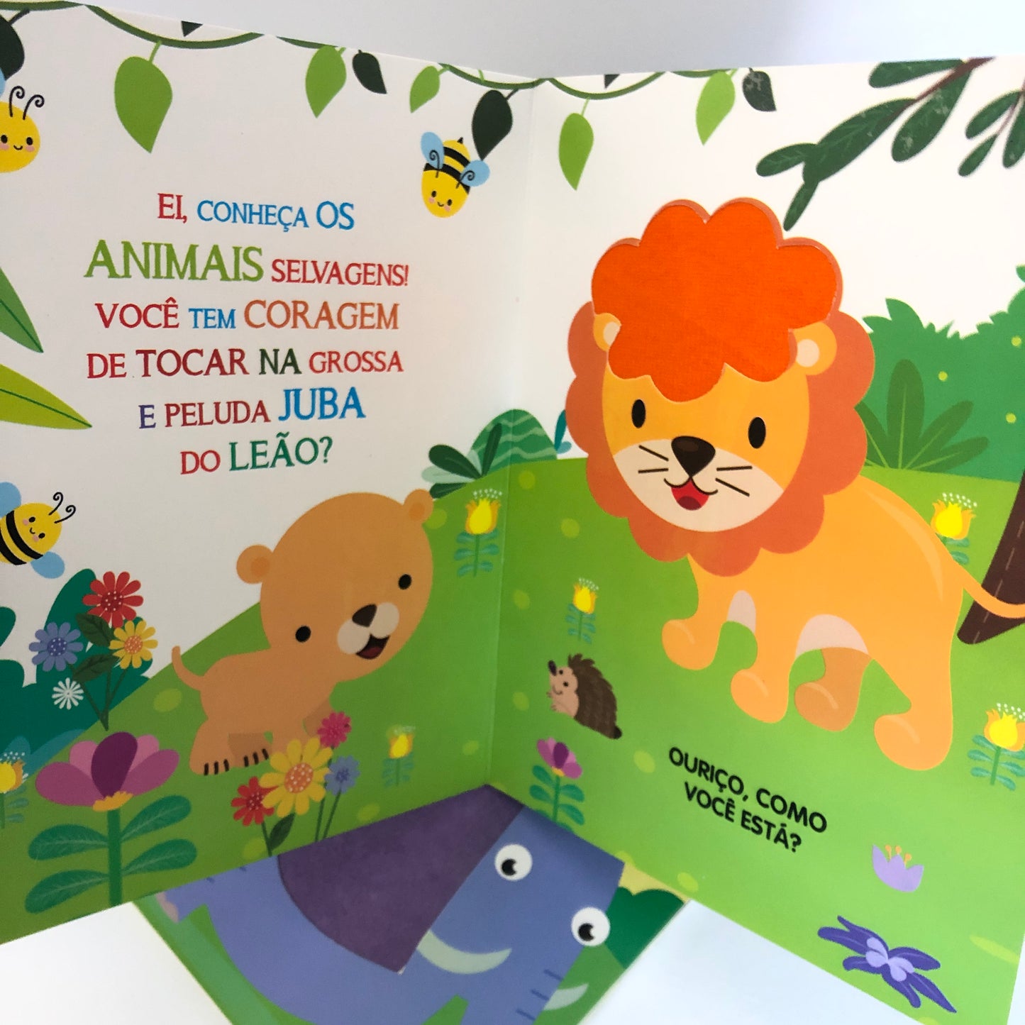 Toque e Sinta - O Mundo da Selva