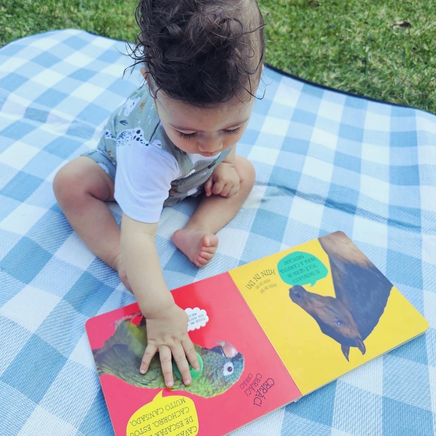 Sensory Books