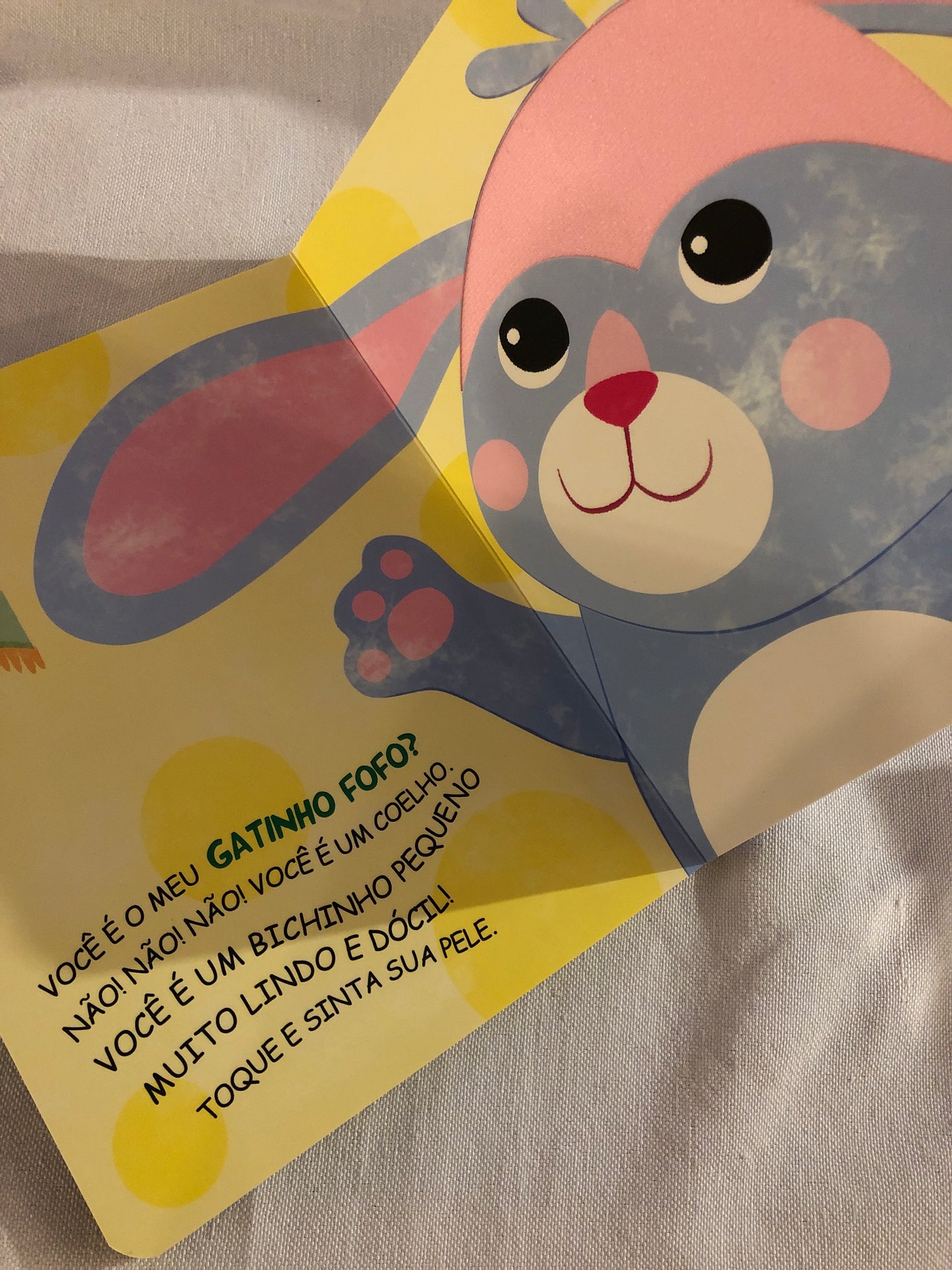 Toque e Sinta - Você é o meu gatinho fofo?