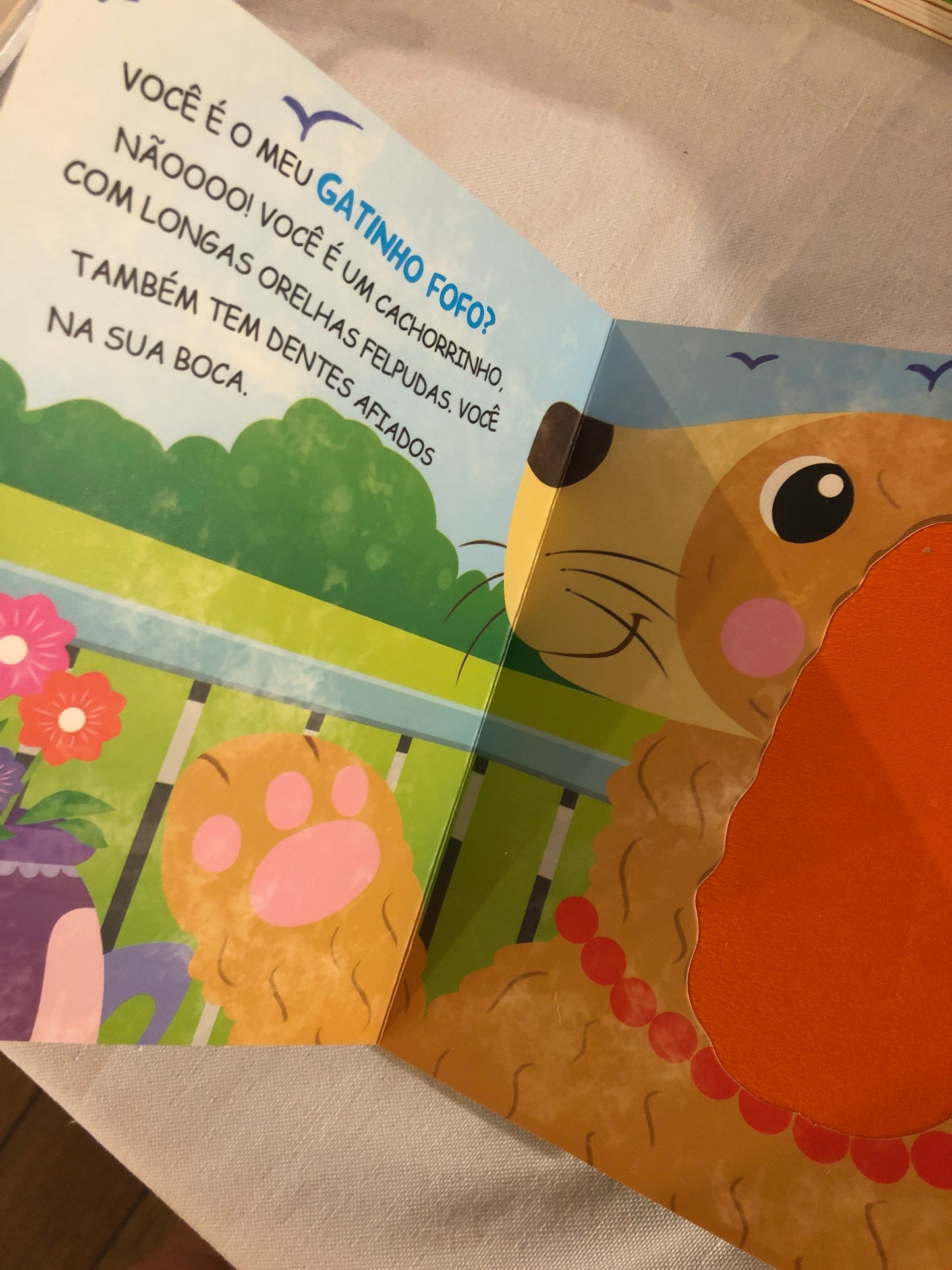Toque e Sinta - Você é o meu gatinho fofo?